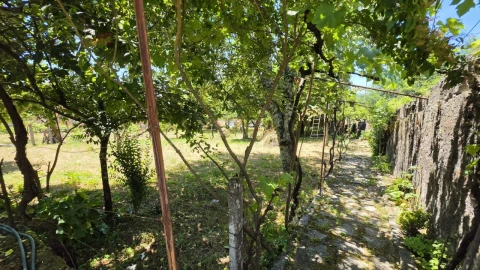 Moradia T6 para Venda em Castro Daire