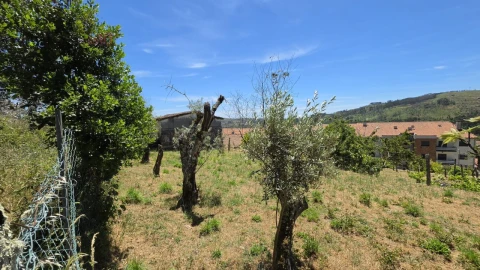 Moradia T6 para Venda em Castro Daire