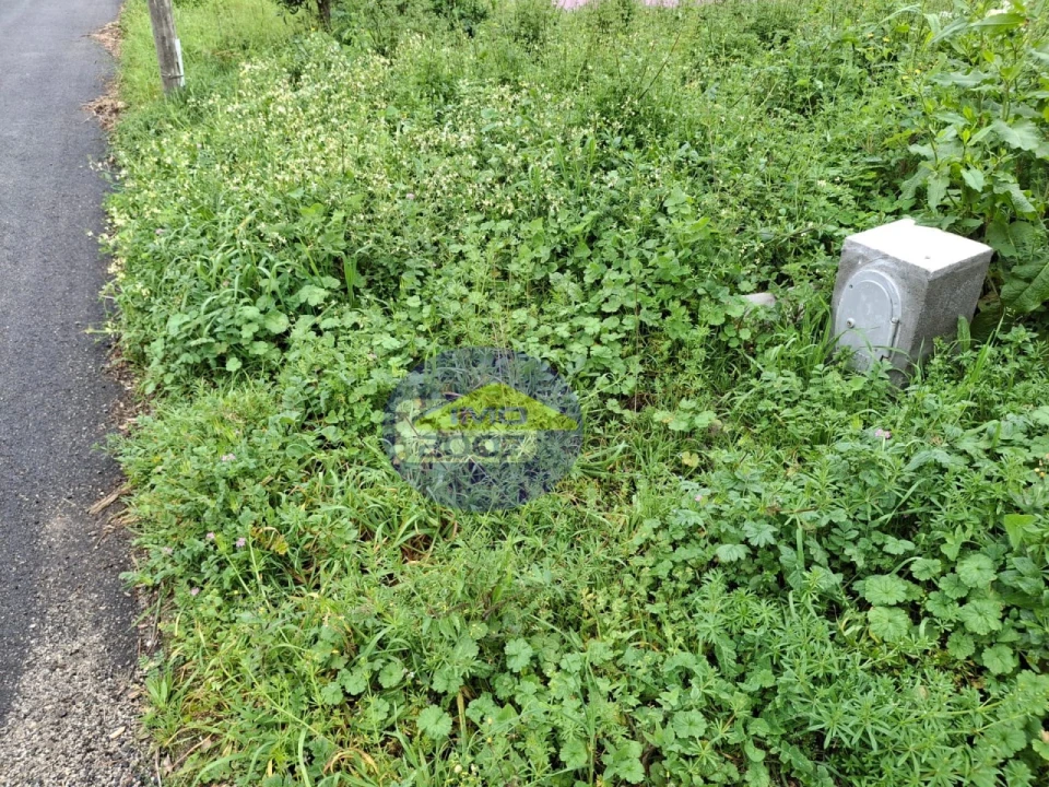Terreno para Venda em Esmoriz Foto 11