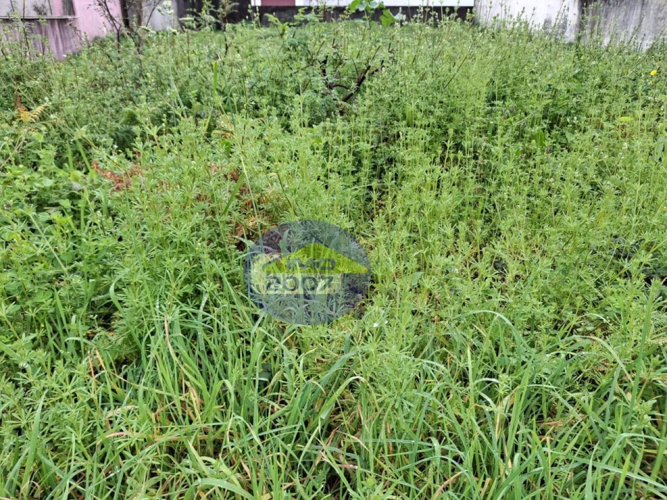 Terreno para Venda em Esmoriz Foto 23