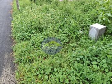 Terreno para Venda em Esmoriz