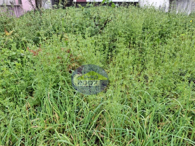 Terreno para Venda em Esmoriz Foto 23