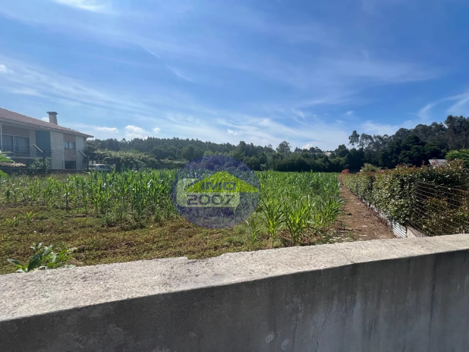 Terreno para Venda em Nogueira da Regedoura Foto 8