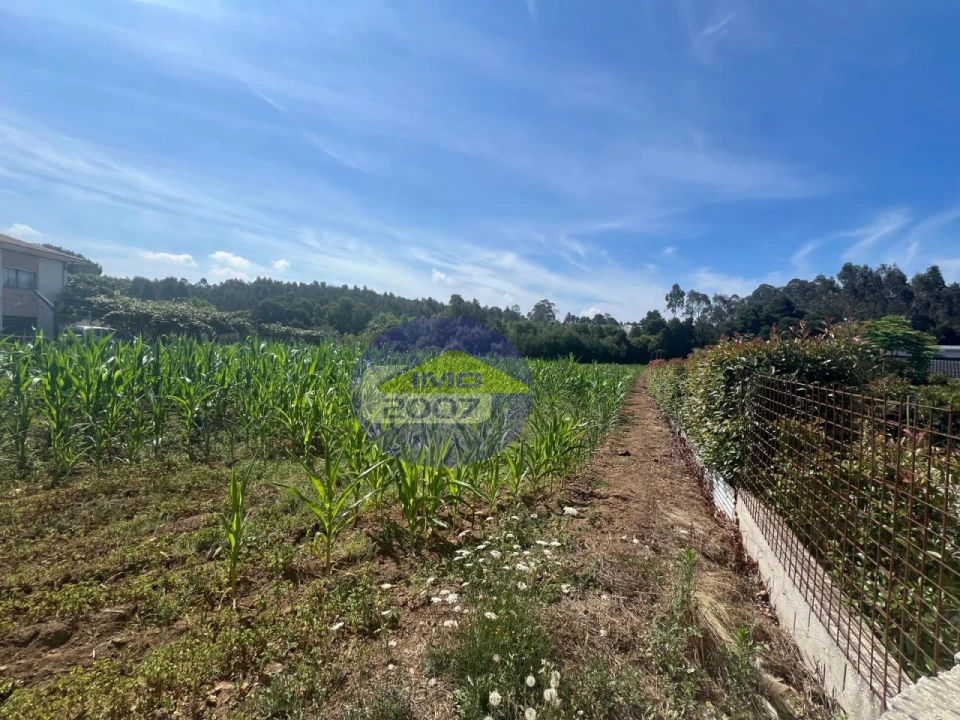 Terreno para Venda em Nogueira da Regedoura Foto 14