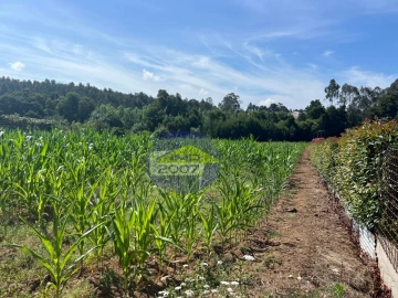 Terreno para Venda em Nogueira da Regedoura