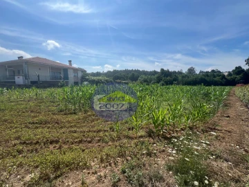 Terreno para Venda em Nogueira da Regedoura