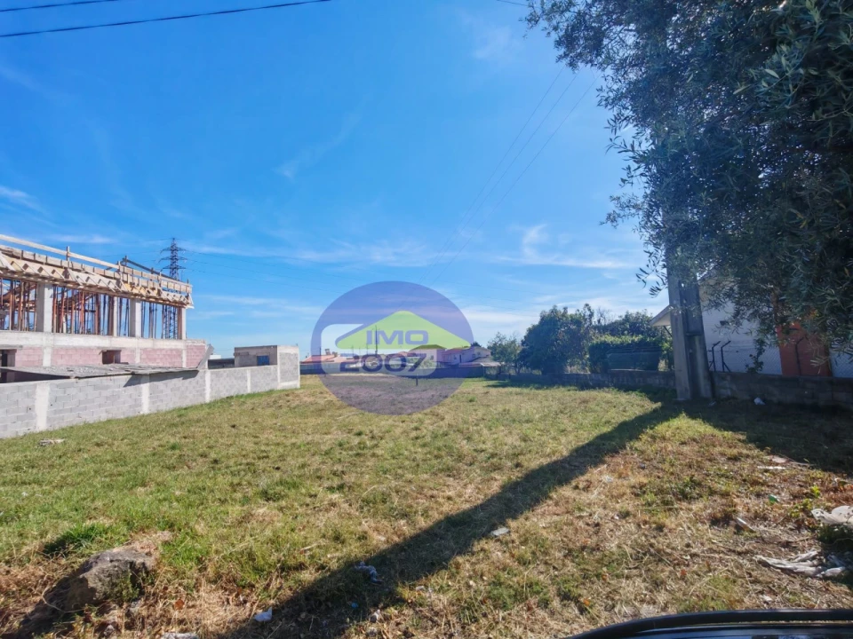 Terreno para Venda em São Paio de Oleiros Foto 2