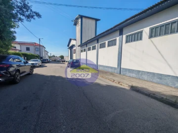 Terreno para Venda em São Paio de Oleiros