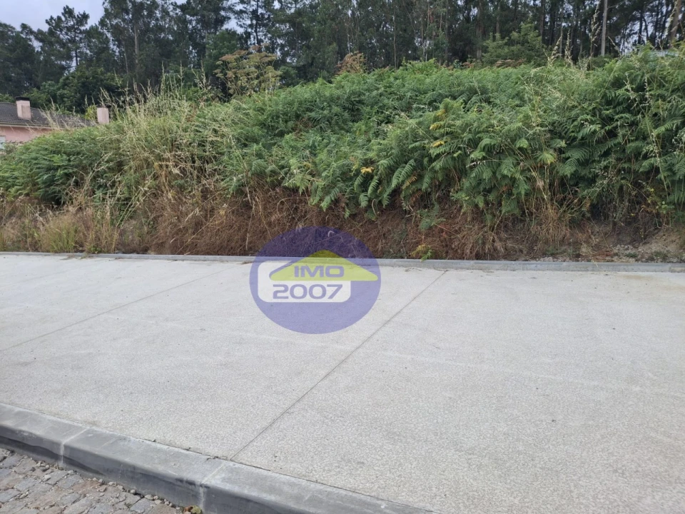Terreno para Venda em São Miguel do Souto e Mosteirô Foto 16