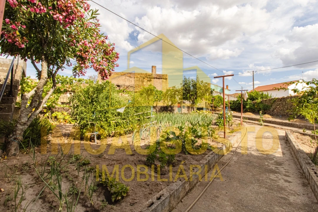 Moradia T4 para Venda em Algodres, Vale de Afonsinho e Vilar de Amargo Foto 33