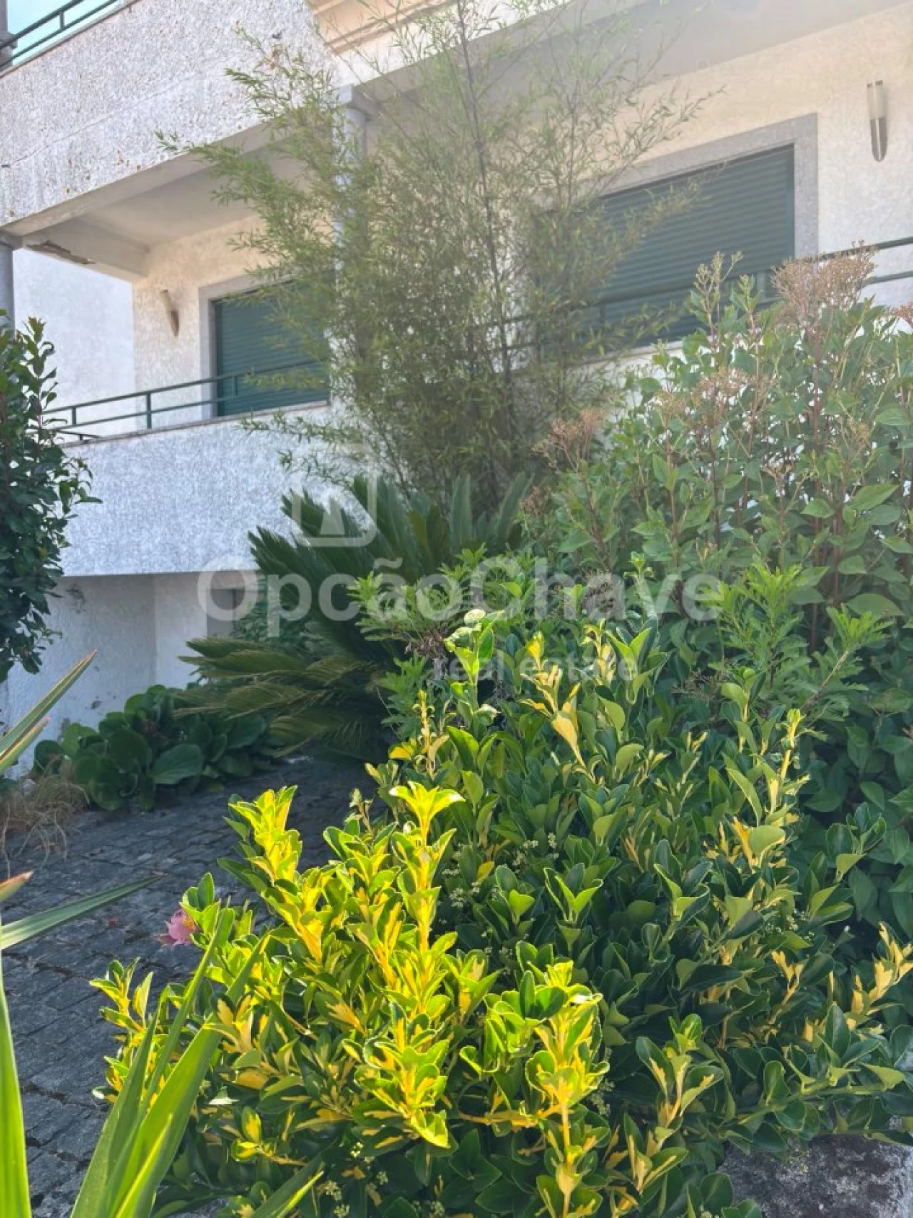 Moradia T4 para Venda em Rio de Loba Foto 1