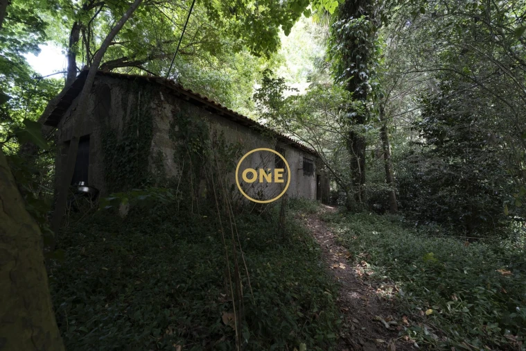 Quinta T4 para Venda em Fradelos Foto 49