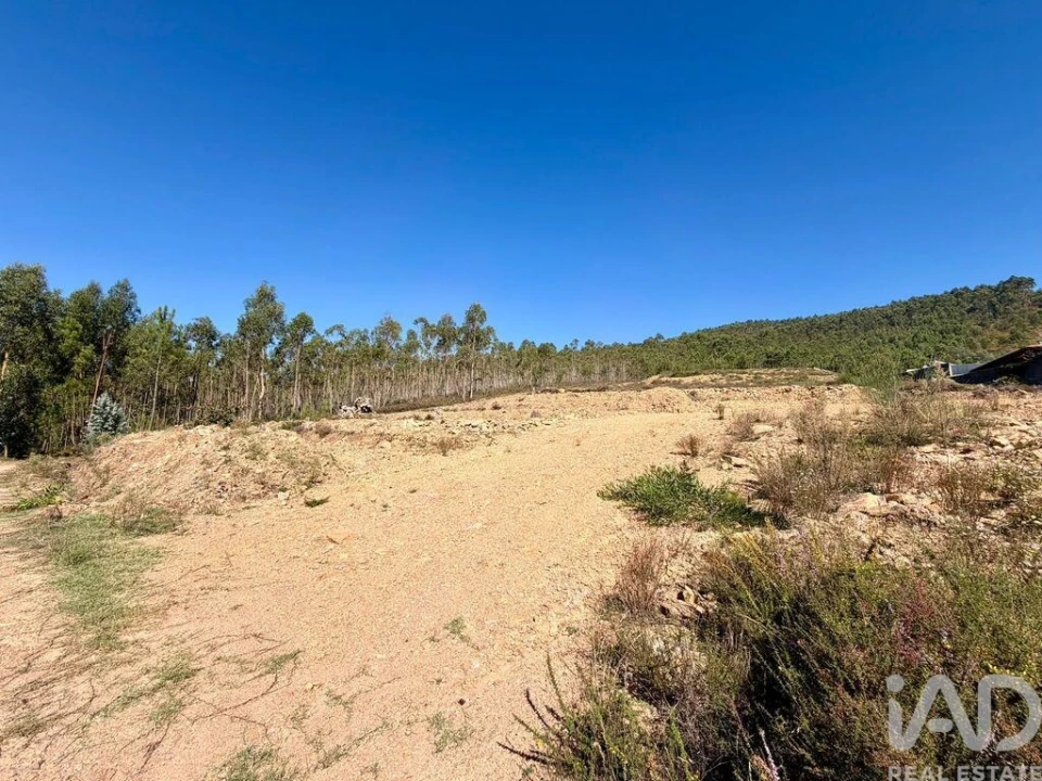 Terreno para Venda em Fragoso Foto 23