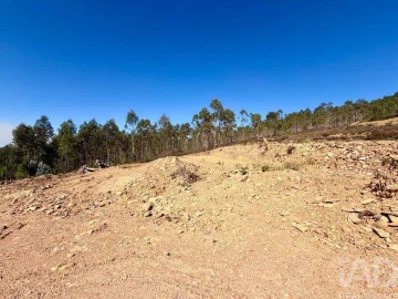 Terreno para Venda em Fragoso