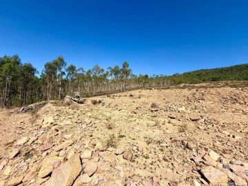 Terreno para Venda em Fragoso