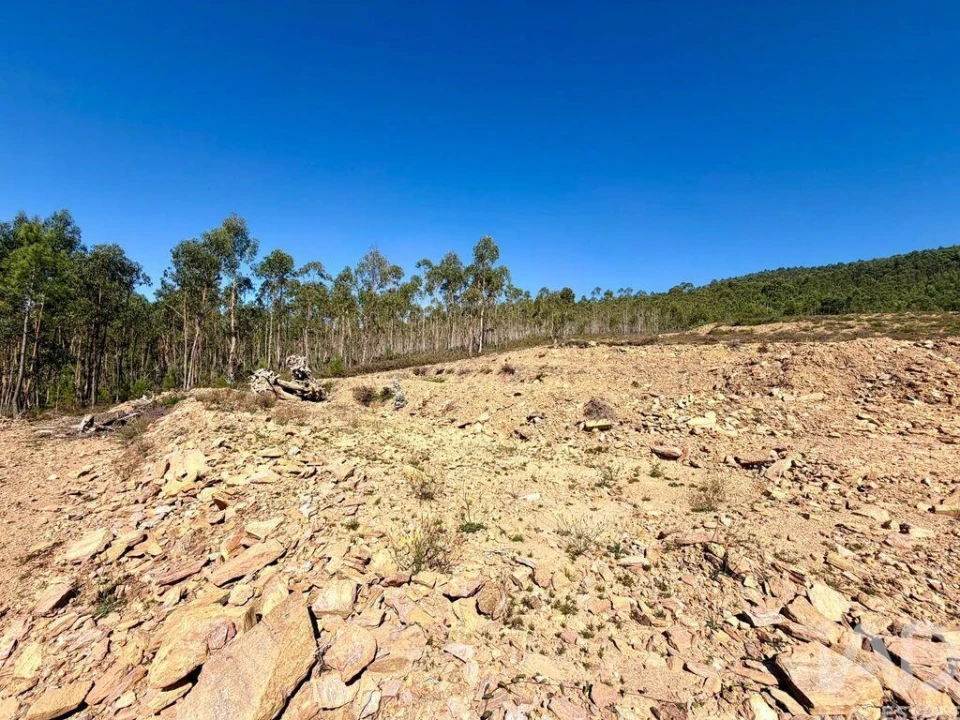 Terreno para Venda em Fragoso Foto 24