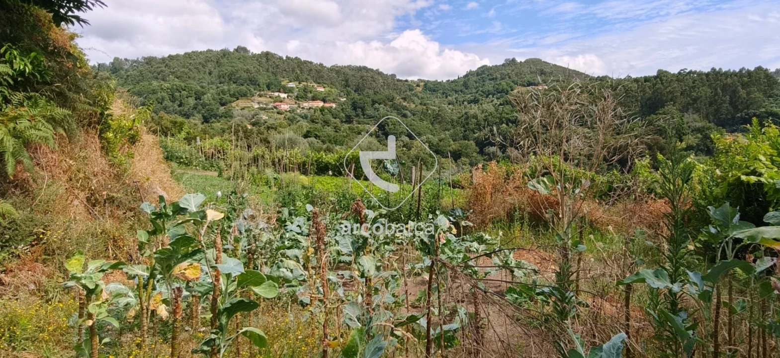 Moradia T3 para Venda em Távora (Santa Maria e São Vicente) Foto 13