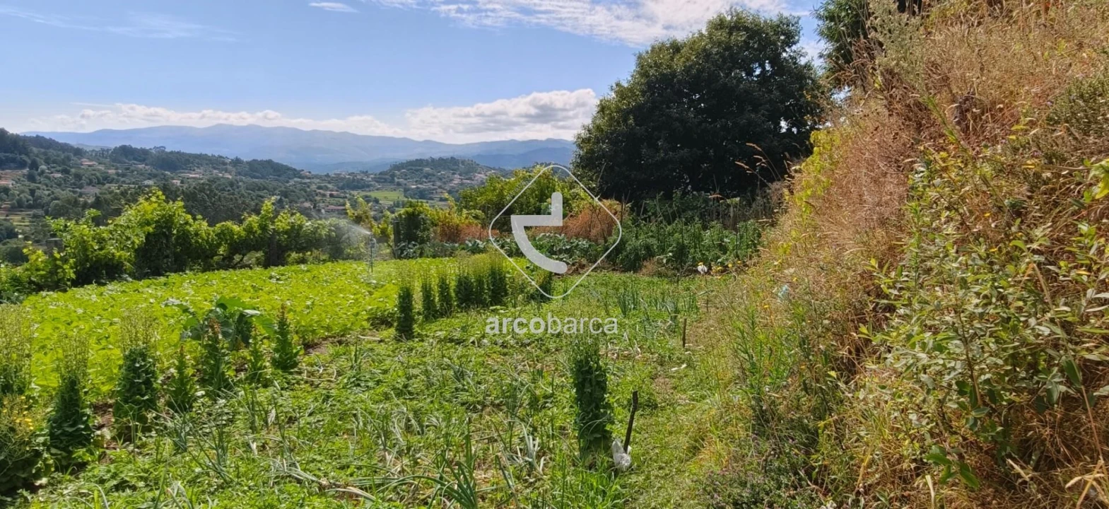 Moradia T3 para Venda em Távora (Santa Maria e São Vicente) Foto 20