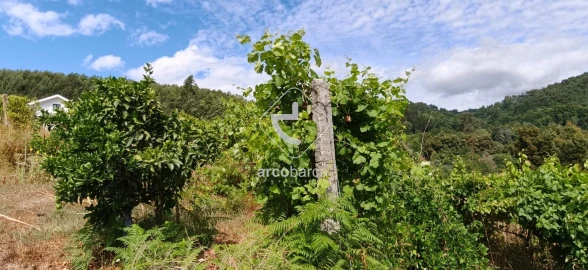 Moradia T3 para Venda em Souto e Tabaçô
