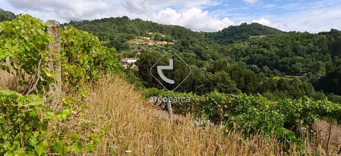 Moradia T3 para Venda em Távora (Santa Maria e São Vicente) Foto 21