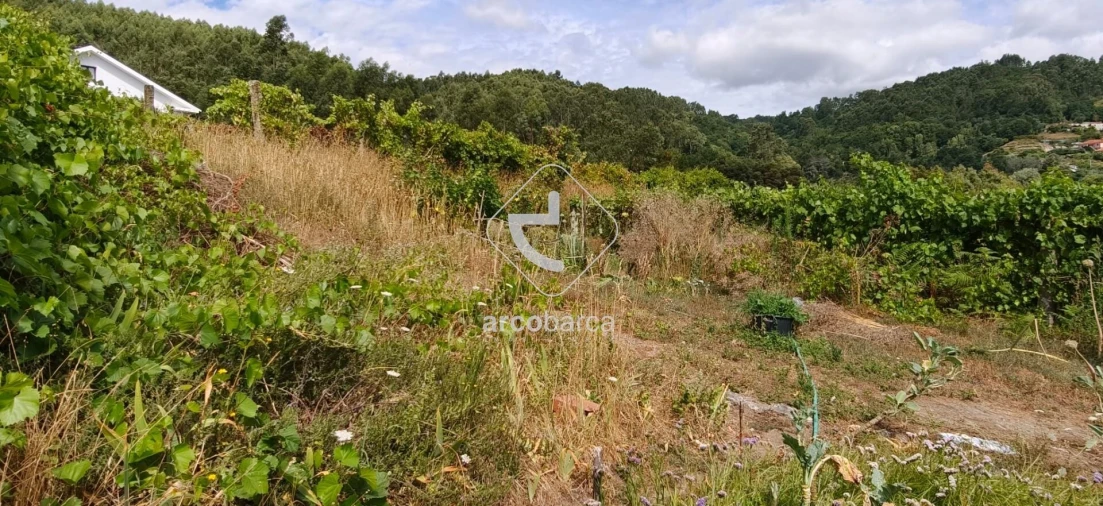 Moradia T3 para Venda em Távora (Santa Maria e São Vicente) Foto 9
