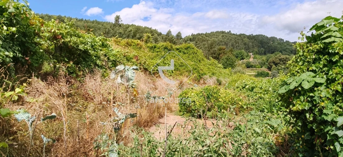Moradia T3 para Venda em Távora (Santa Maria e São Vicente) Foto 12