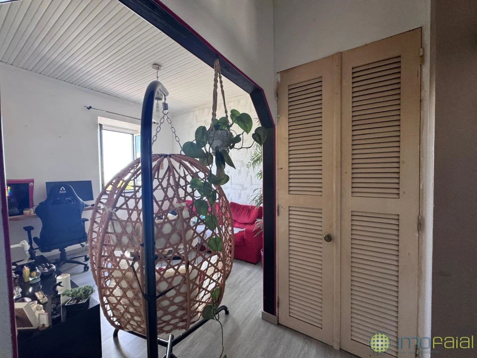 Negócio para Venda em Horta (Matriz) Foto 38