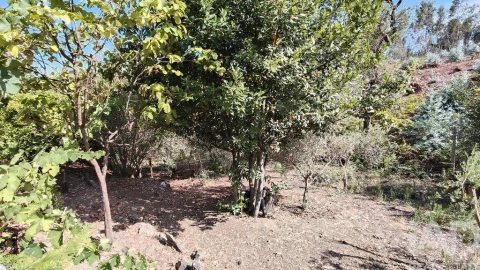 Moradia T2 para Venda em Graça