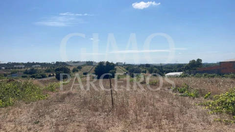 Terreno para Venda em Fermentelos