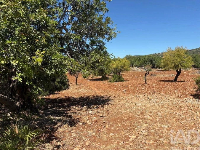 Terreno para Venda em Conceição e Estoi Foto 2
