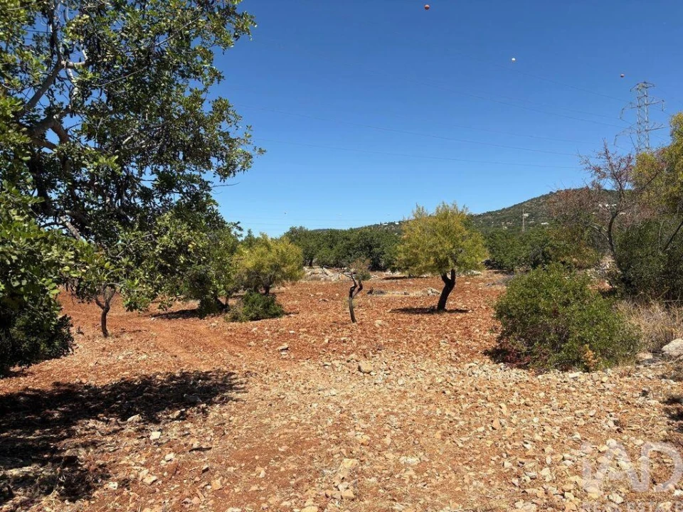 Terreno para Venda em Conceição e Estoi Foto 3