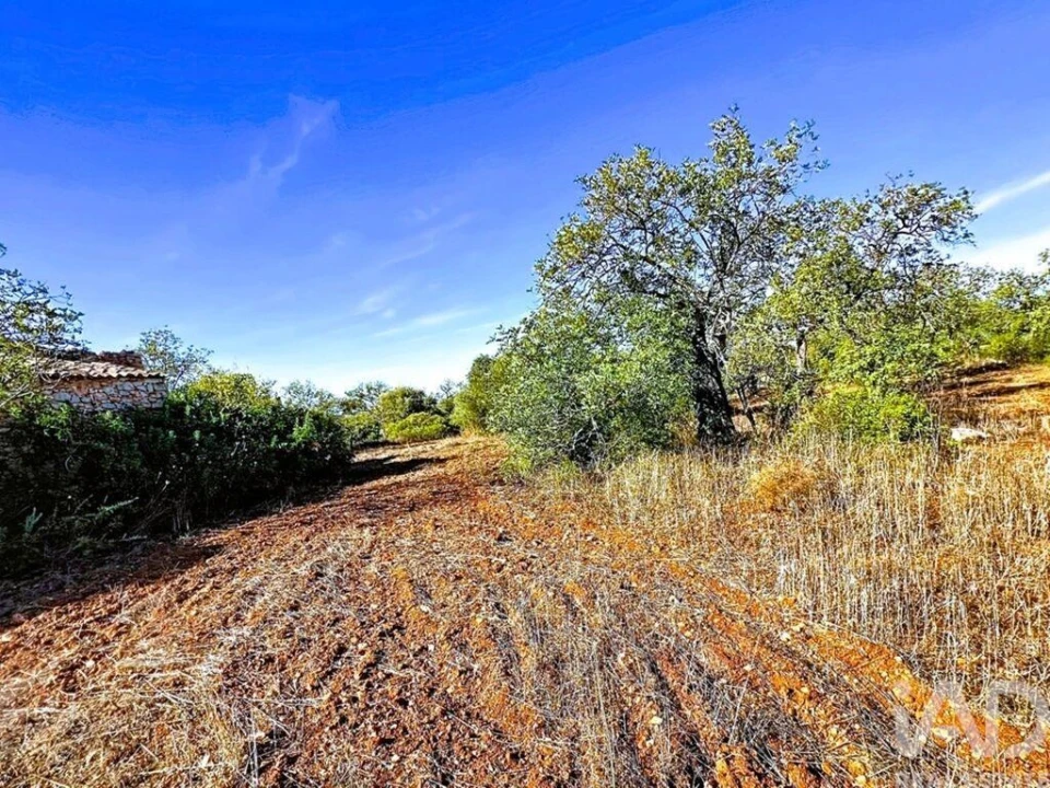 Quinta para Venda em Paderne Foto 7