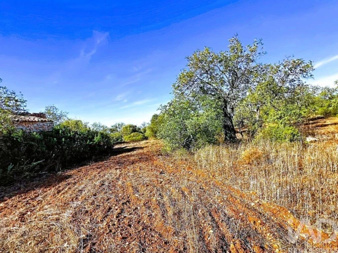 Quinta para Venda em Paderne Foto 7