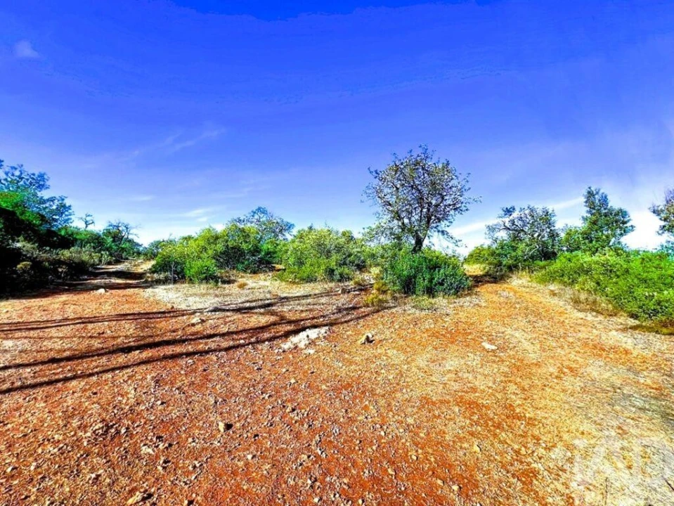 Quinta para Venda em Paderne Foto 9
