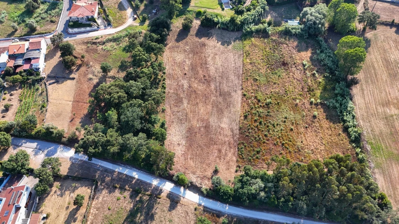 Terreno para Venda em Oliveira do Bairro Foto 7