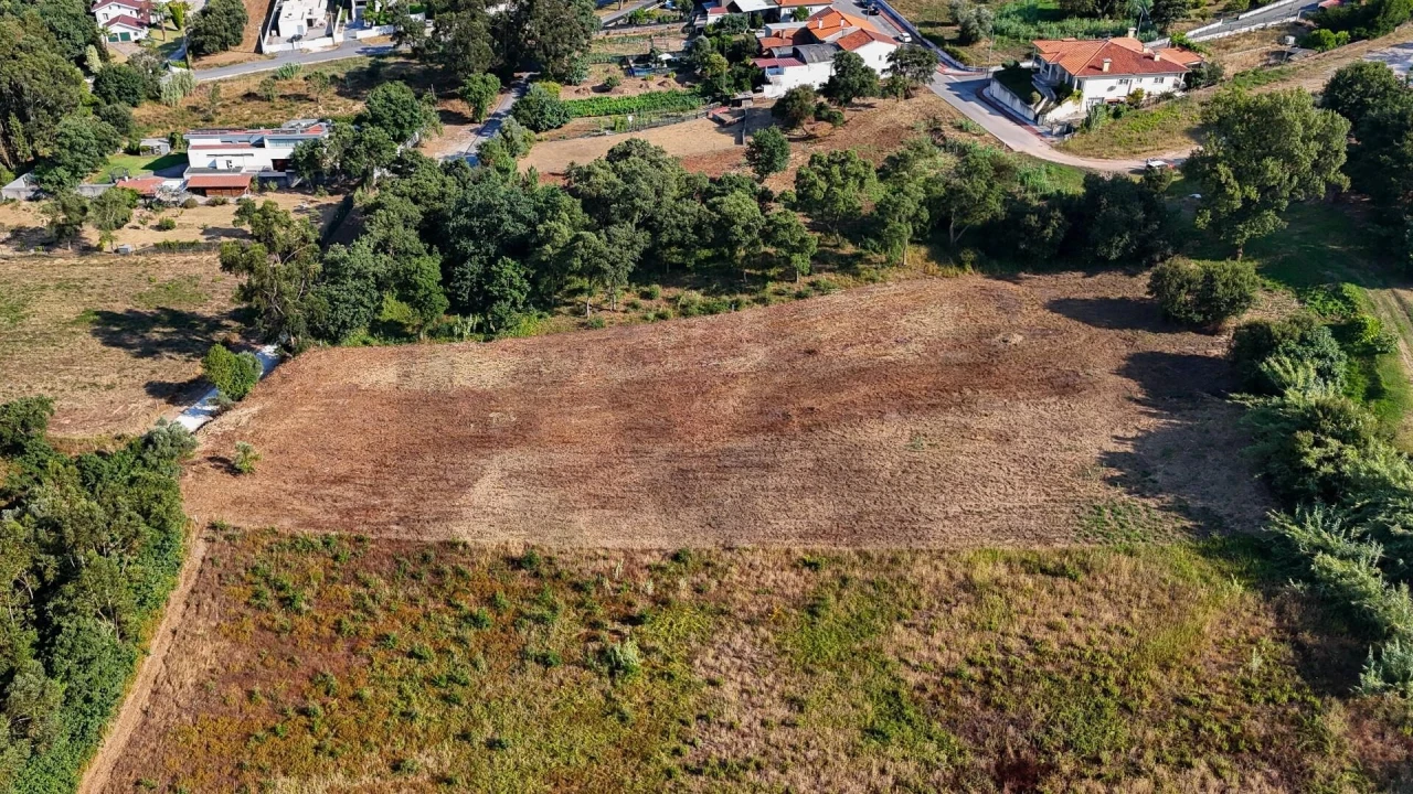Terreno para Venda em Oliveira do Bairro Foto 2