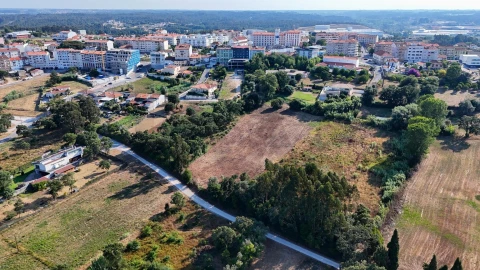 Terreno para Venda em Oliveira do Bairro