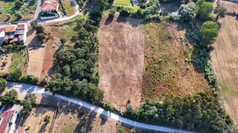 Terreno para Venda em Oliveira do Bairro