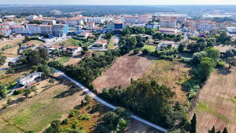 Terreno para Venda em Oliveira do Bairro