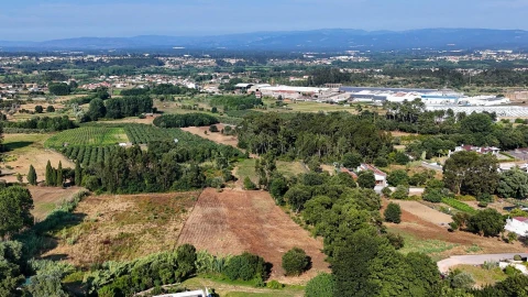 Terreno para Venda em Oliveira do Bairro