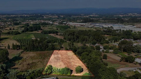 Terreno para Venda em Oliveira do Bairro