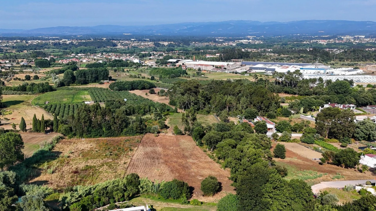 Terreno para Venda em Oliveira do Bairro Foto 3