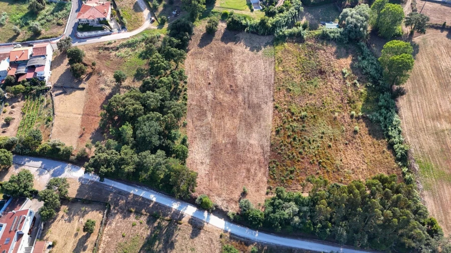 Terreno para Venda em Oliveira do Bairro Foto 7