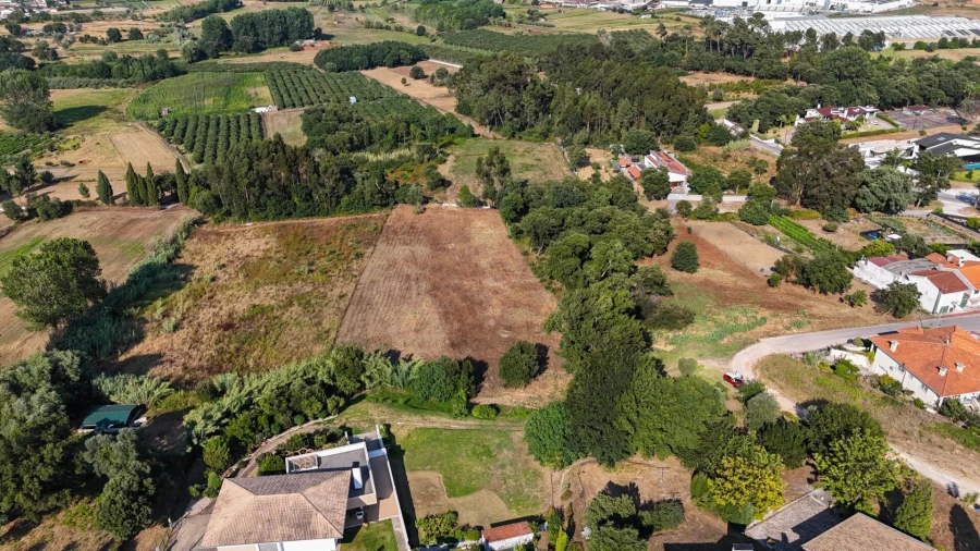 Terreno para Venda em Oliveira do Bairro Foto 5
