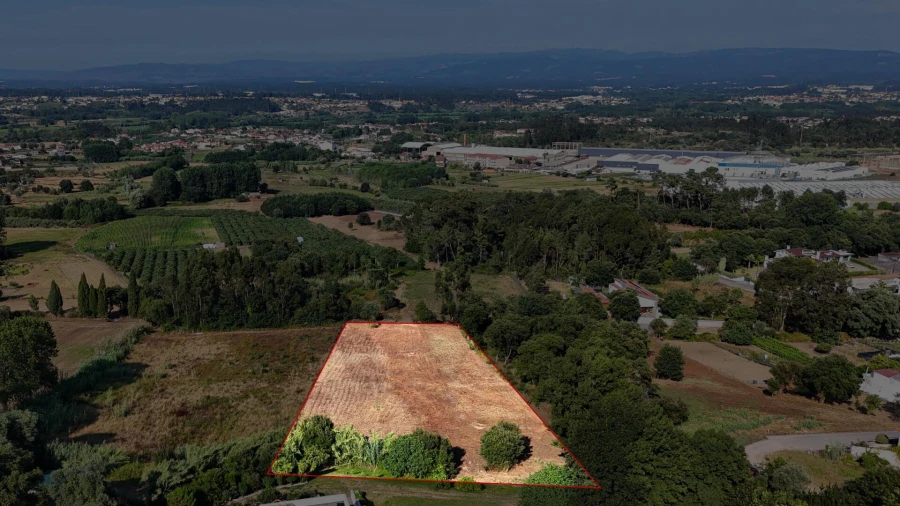 Terreno para Venda em Oliveira do Bairro Foto 4