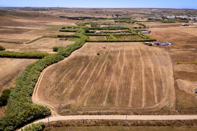 Terreno para Venda em Budens Foto 2