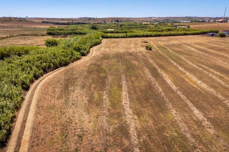 Terreno para Venda em Budens Foto 11
