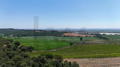 Moradia T3 para Venda em São Vicente do Paul e Vale de Figueira