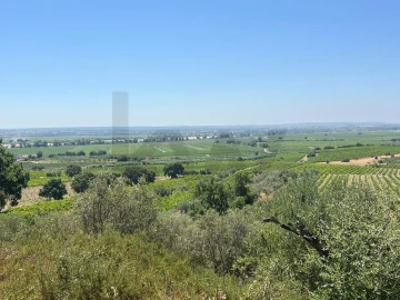 Moradia T3 para Venda em São Vicente do Paul e Vale de Figueira