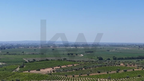 Moradia T3 para Venda em São Vicente do Paul e Vale de Figueira